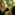 LOVE STORY – TAYLOR SWIFT Chords